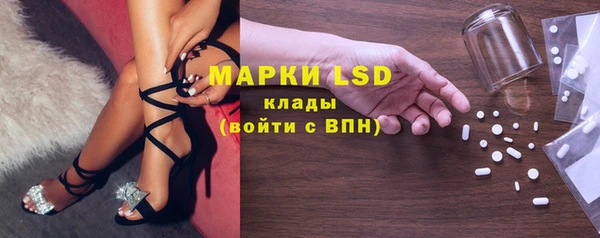 индика Баксан