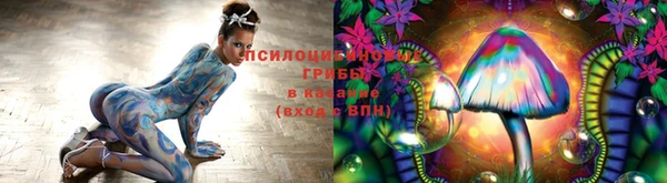 индика Баксан