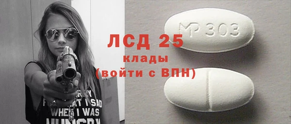 индика Баксан
