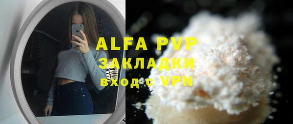 индика Баксан