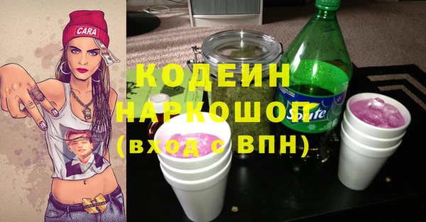 индика Баксан
