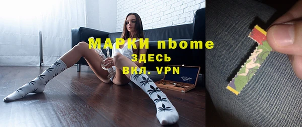 индика Баксан
