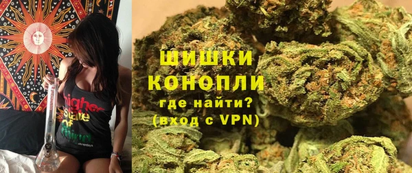 индика Баксан