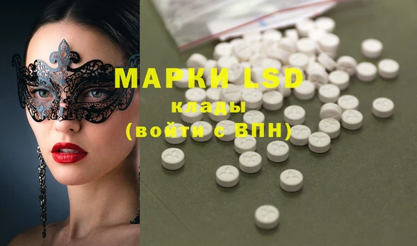 индика Баксан