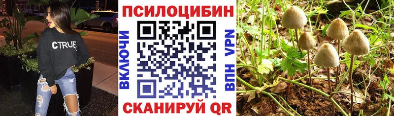 МЕГА зеркало  Вяземский  Галлюциногенные грибы Psilocybine cubensis  где купить наркоту 